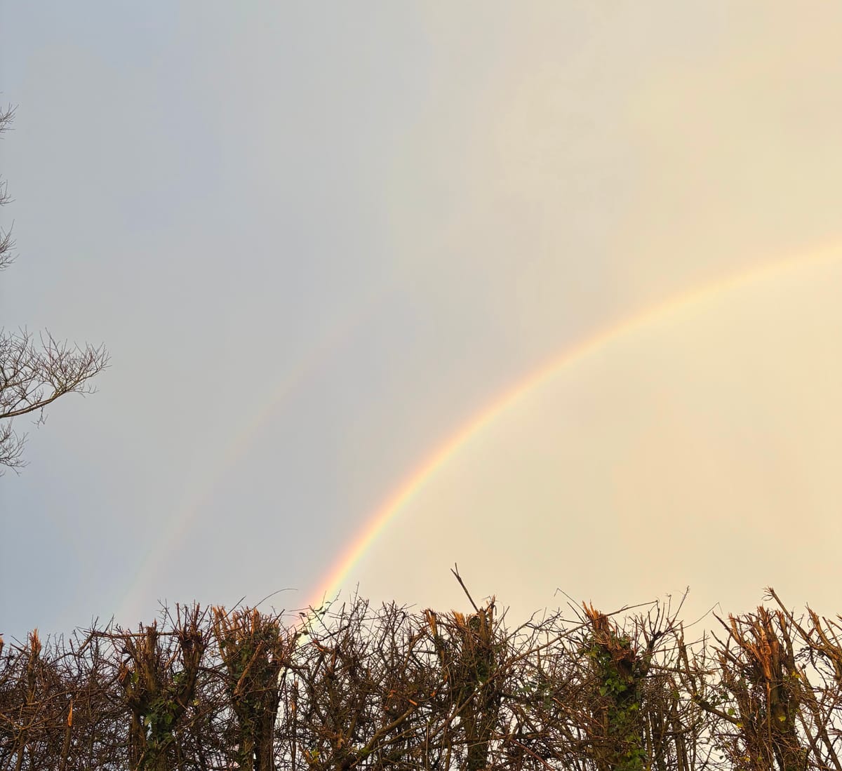 News of a free workshop for young people