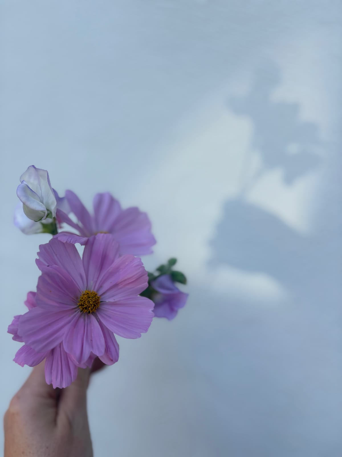 If a great poet dies