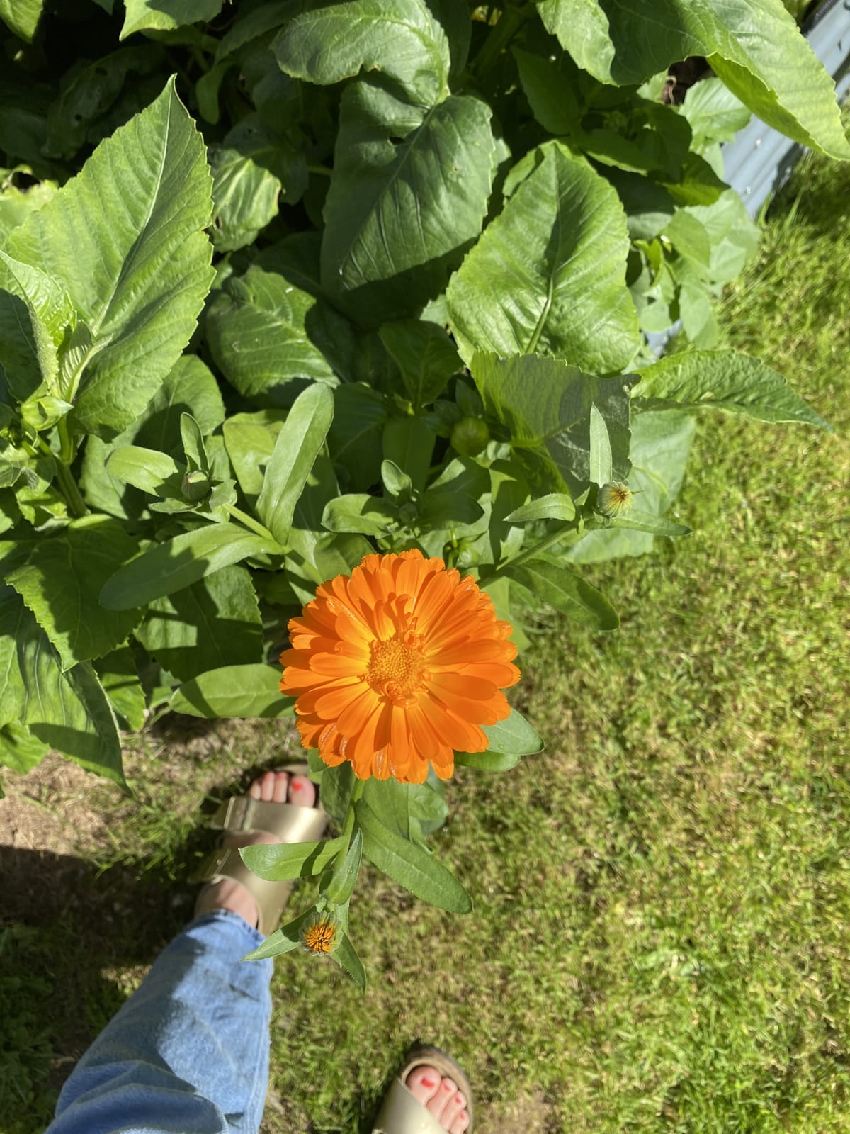 The Ice Melts A Little Slower These Days