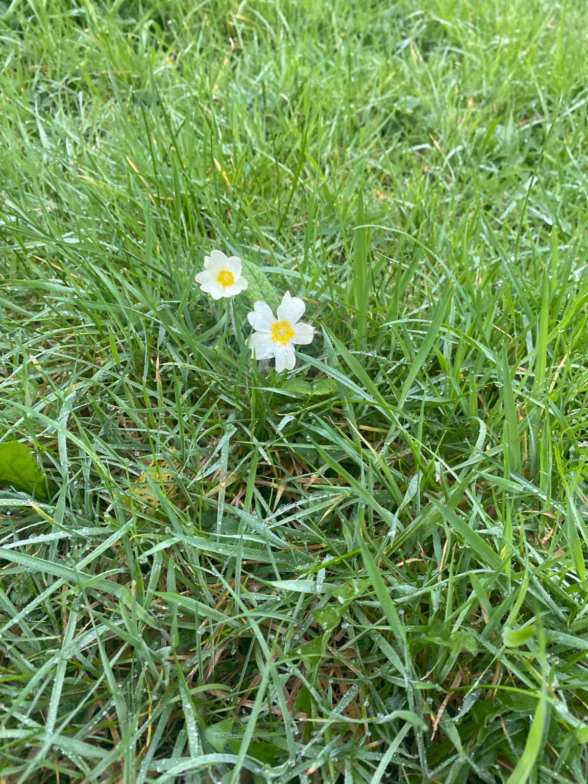 Small acts of attention