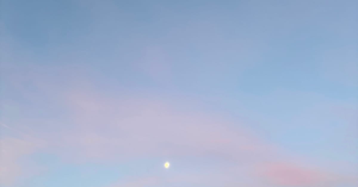 Sheltering from the storm