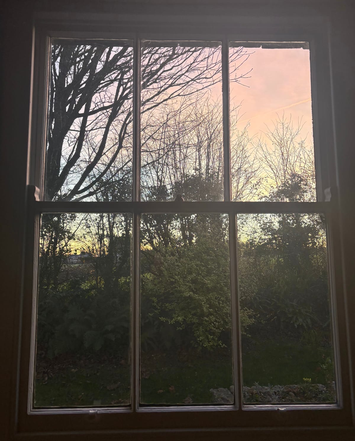 Soft starts, small joys