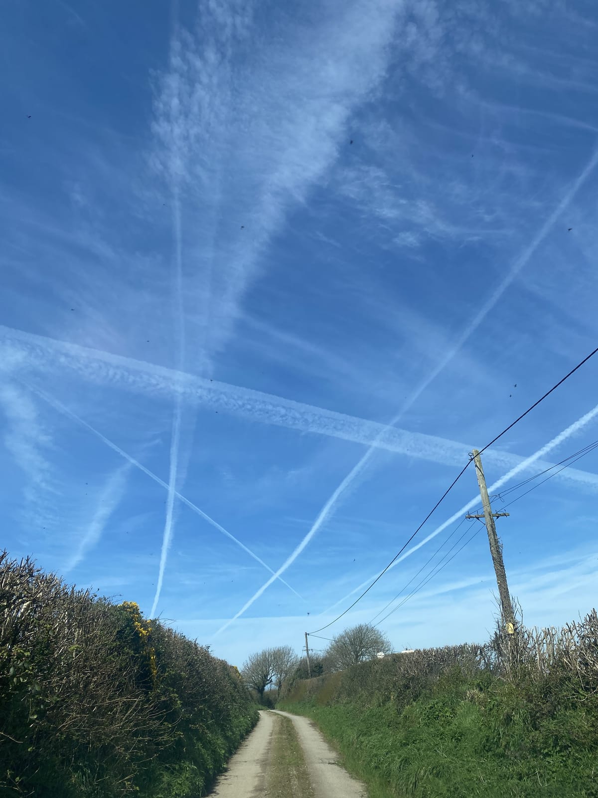 The words will return, eventually...