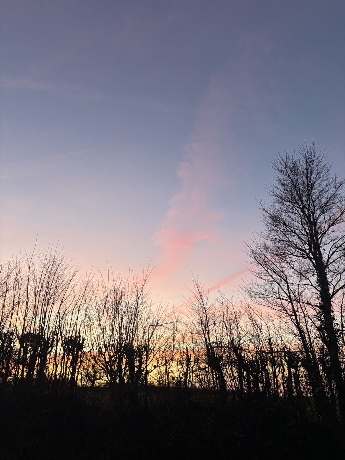 Wishing, waiting, writing...