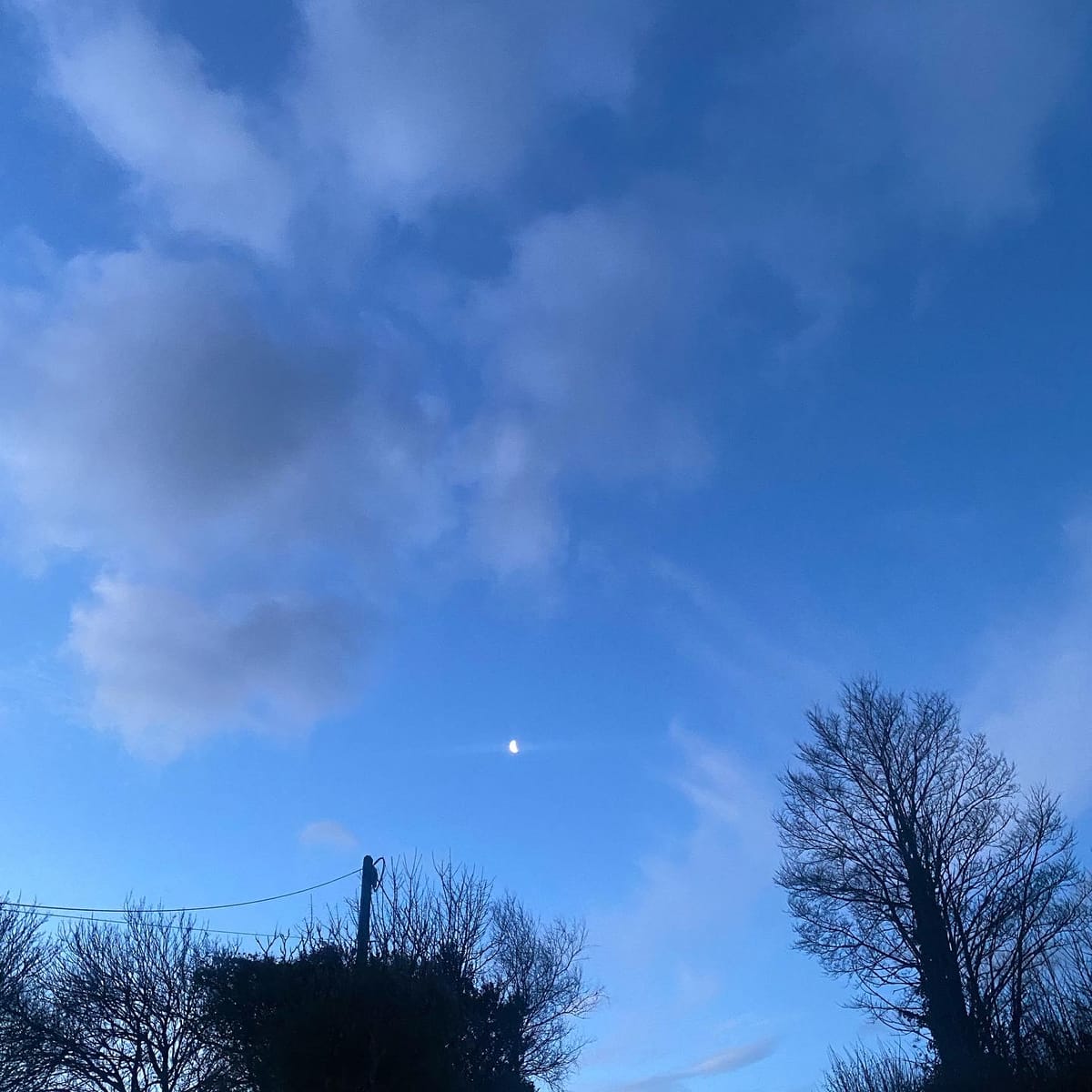 Cold tea and early mornings