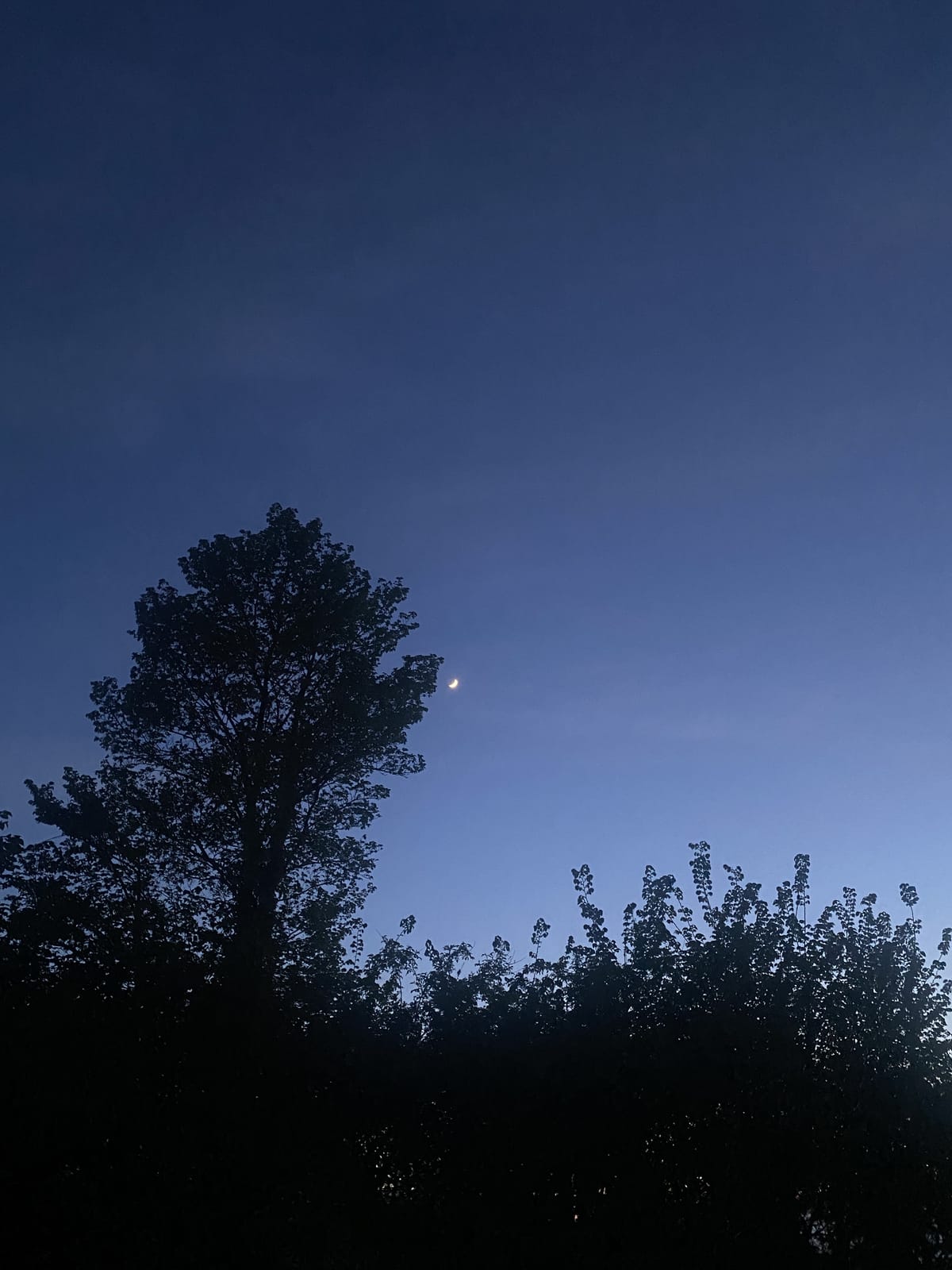 We missed the Northern Lights