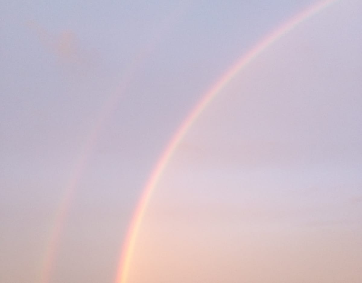 Notes to self in rainbow season