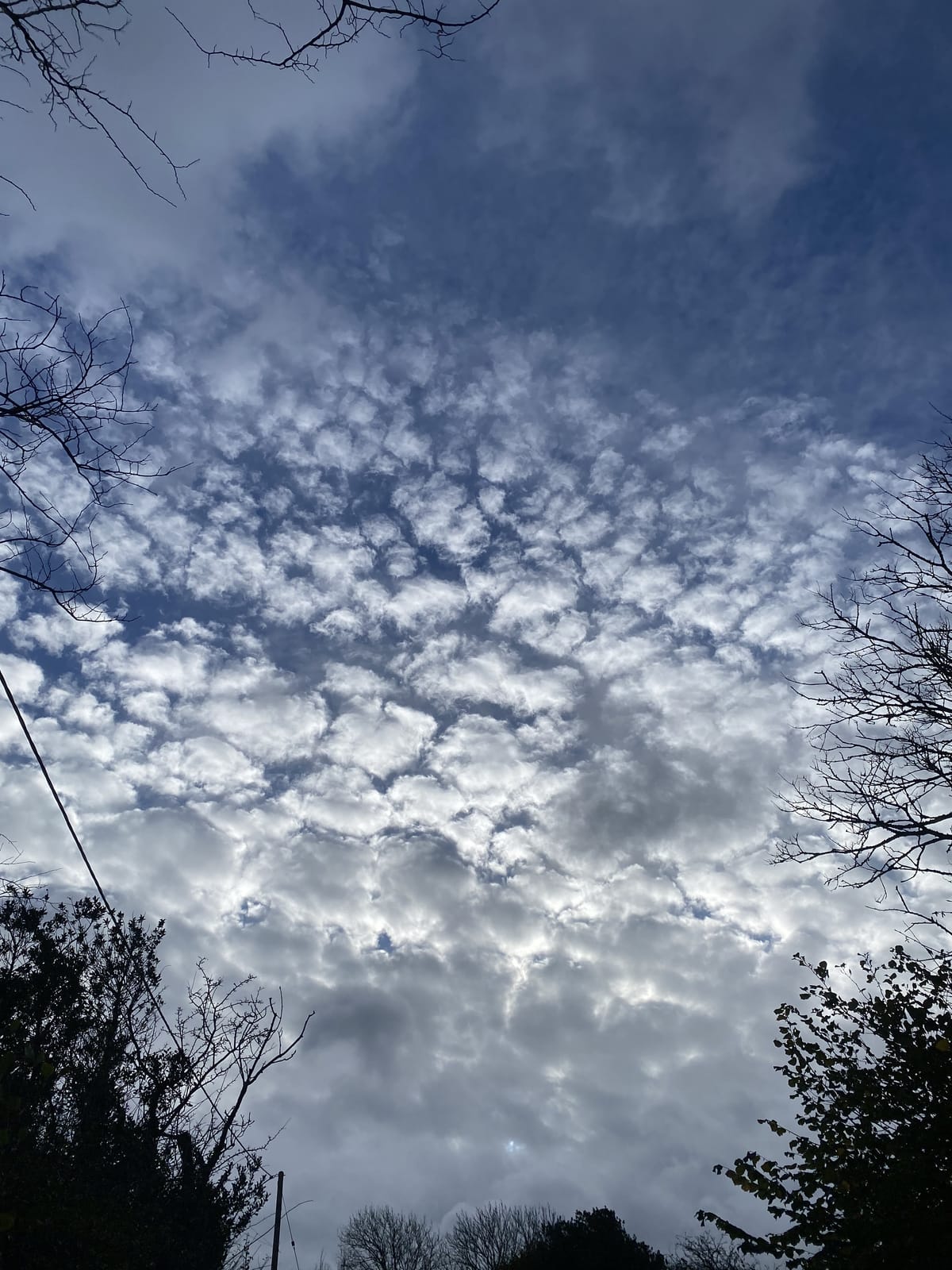 Hope held in a tightly clenched fist