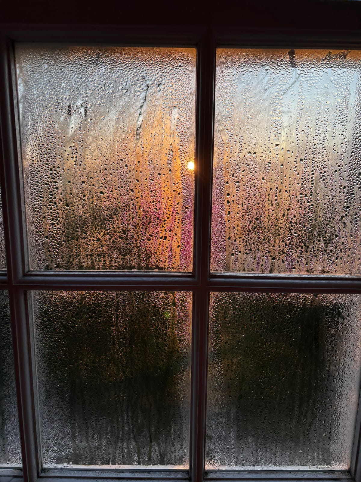 Turning my face towards the rain