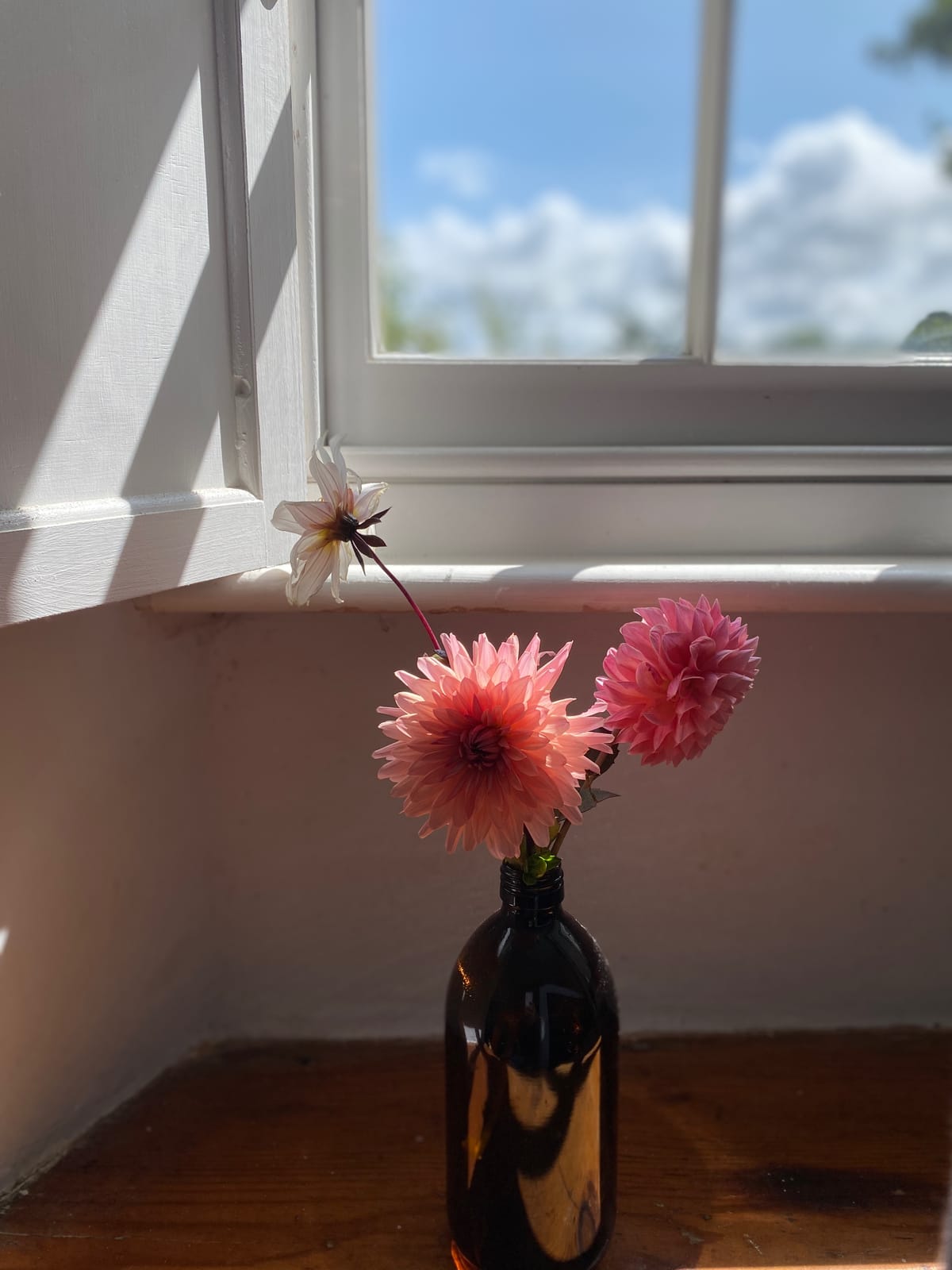 Writing the Everyday