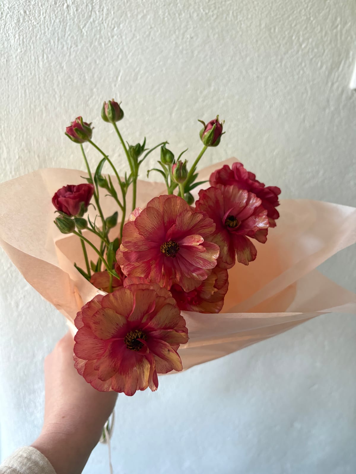 Gifts from Spring